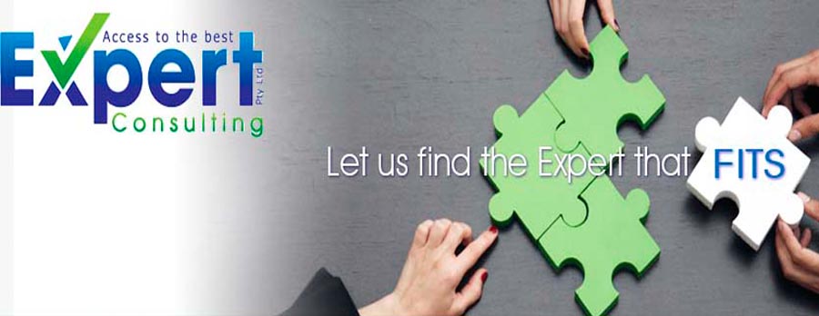 Expert Consulting